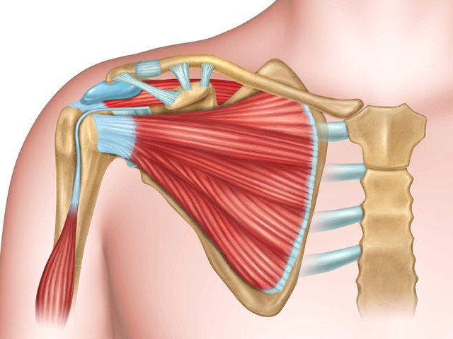 shoulder injuries