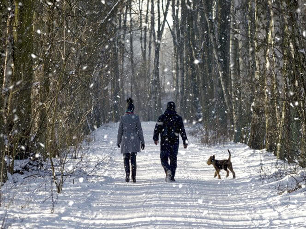 Winter walking