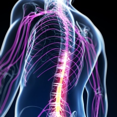 How to Cure a Trapped Nerve: Chiropractic Relief in Amersham