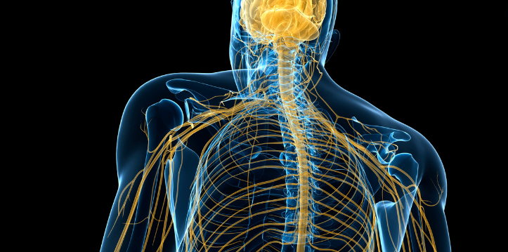 How to Cure a Trapped Nerve: Chiropractic Relief in Amersham