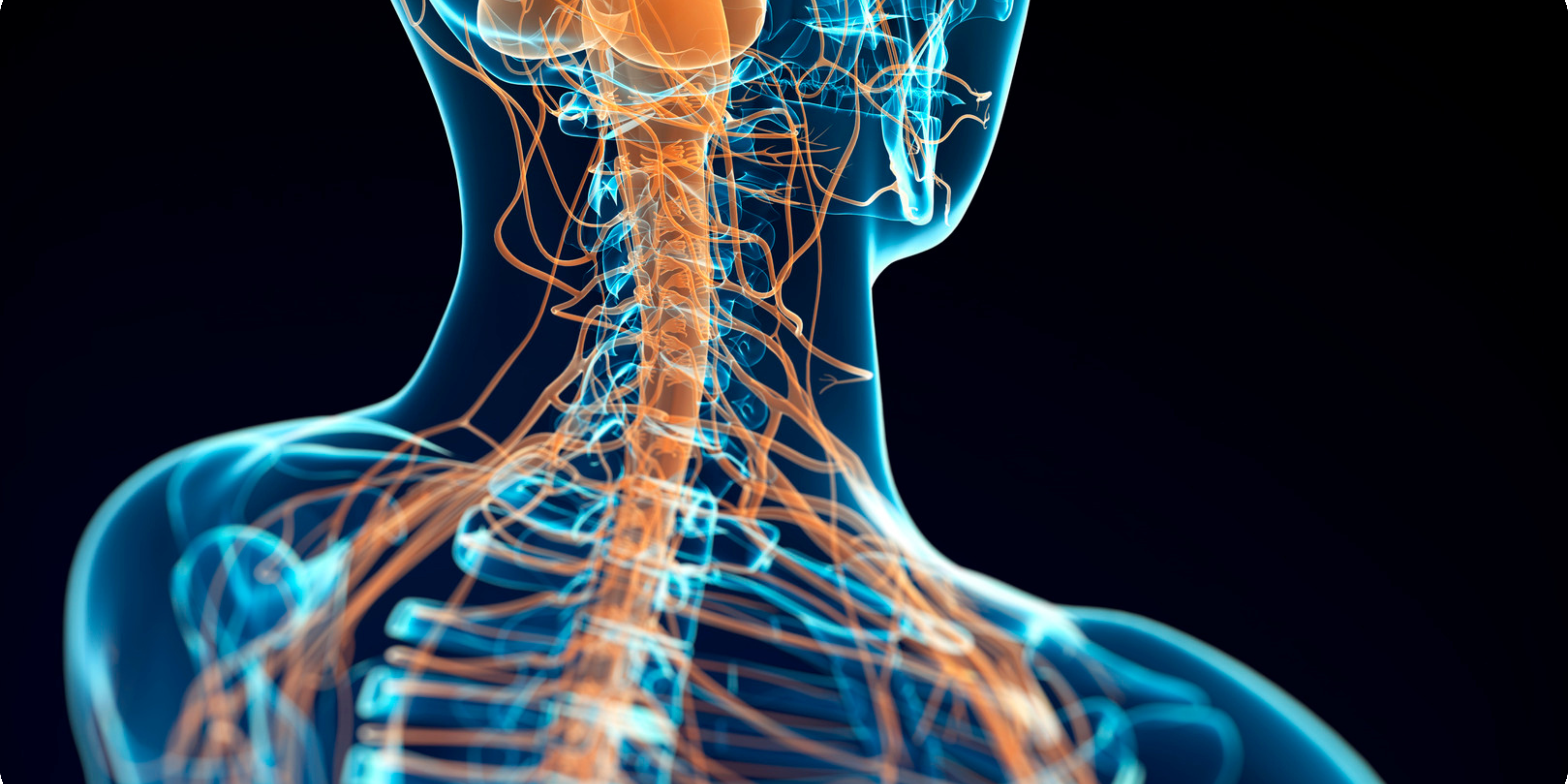 What Is Trapped Nerve & How Can A Chiroprator Help?